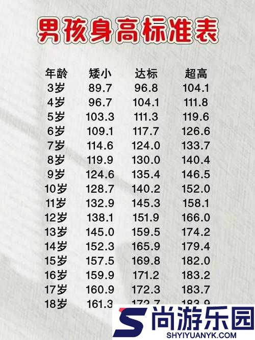 醒目男孩游戏最低配置需求全览