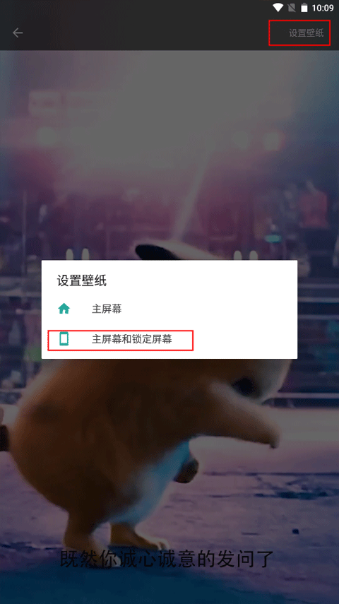 皮皮桌面壁纸免费会员下载
