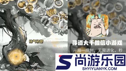 寻道大千兑换码11月合集