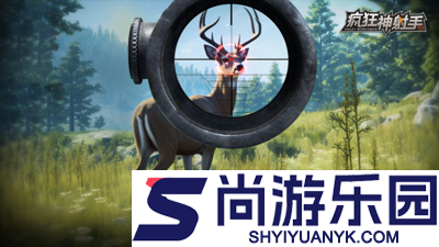 疯狂神射手怎么开双枪(一枪打出两发子弹攻略)