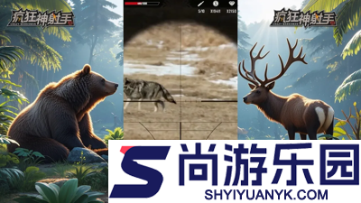 疯狂神射手怎么开双枪(一枪打出两发子弹攻略)