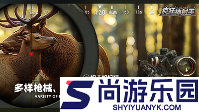 疯狂神射手怎么开双枪(一枪打出两发子弹攻略)