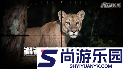 疯狂神射手礼包码微信小程序