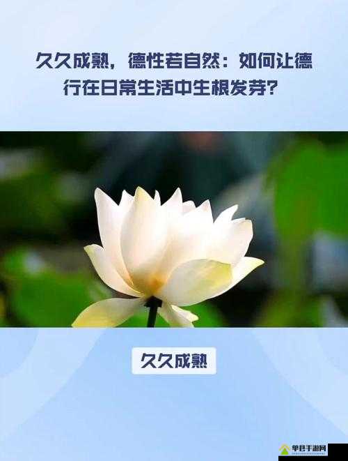解密久久成熟德性若自然矣：关于其内涵与本质的深入探讨