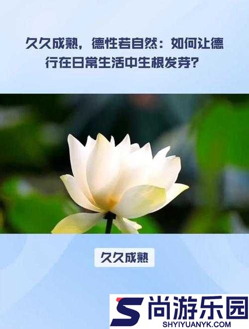 解密久久成熟德性若自然矣