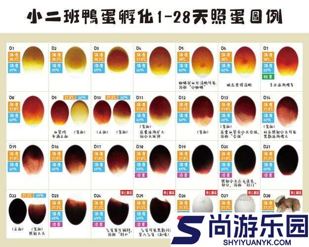 深海迷航