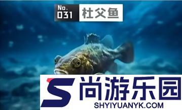 鱼吃鱼免费下载最新版