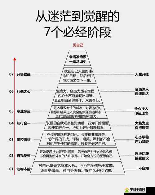 朋友换娶妻后的生活变化：从迷茫到觉醒的历程与感悟