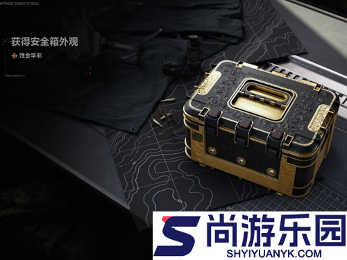 三角洲行动安全箱皮肤是永久的吗
