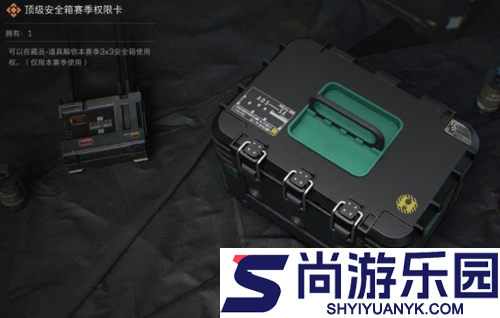 三角洲行动安全箱皮肤是永久的吗