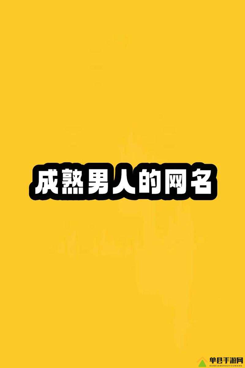 JealousVue 成熟分类相关话题探讨：深入剖析其独特魅力与内涵