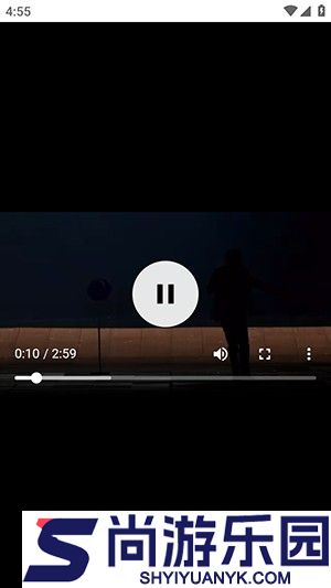 bilidown官方版下载