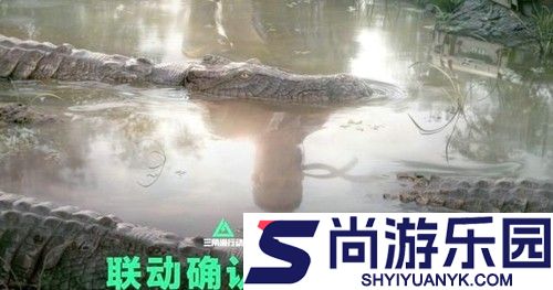 三角洲行动潜龙谍影联动皮肤