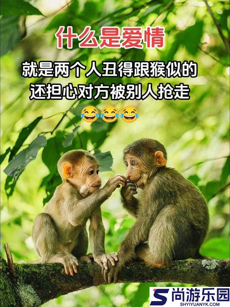 俩猴子抱一起形容爱情