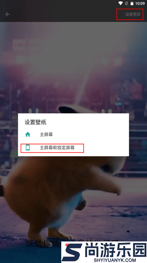 皮皮动态壁纸高清版下载