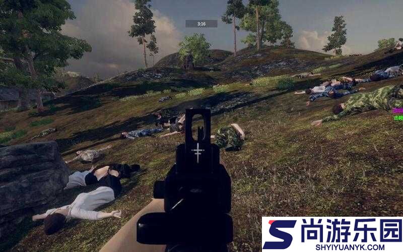 自由人游击战争