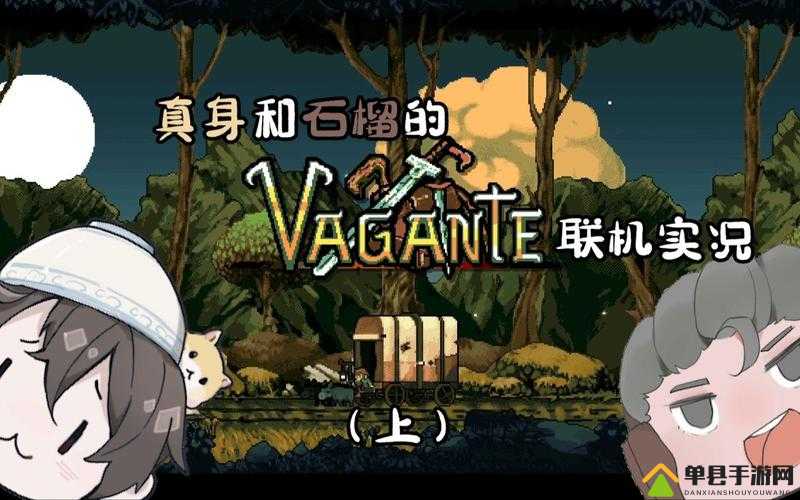 流浪Vagante联机玩法全攻略，详解如何与好友共同冒险的步骤与技巧