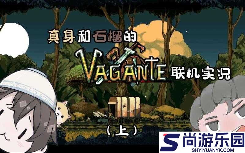 流浪Vagante联机玩法全攻略
