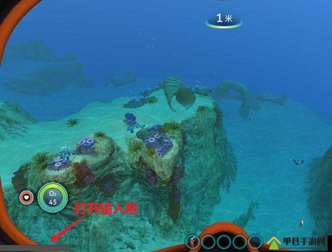 深海迷航饲养指南，全面解析深海生物饲养与养殖的实用方法