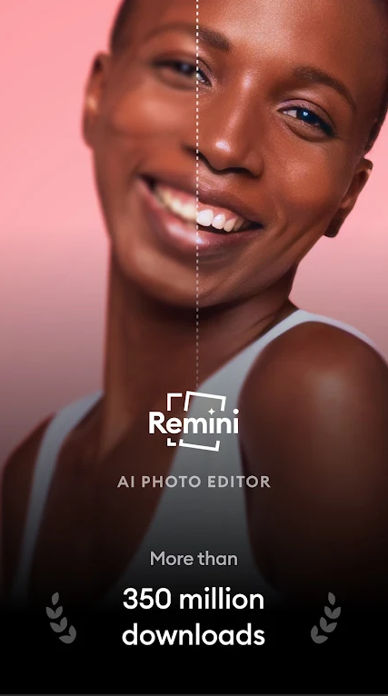 remini油画中文版
