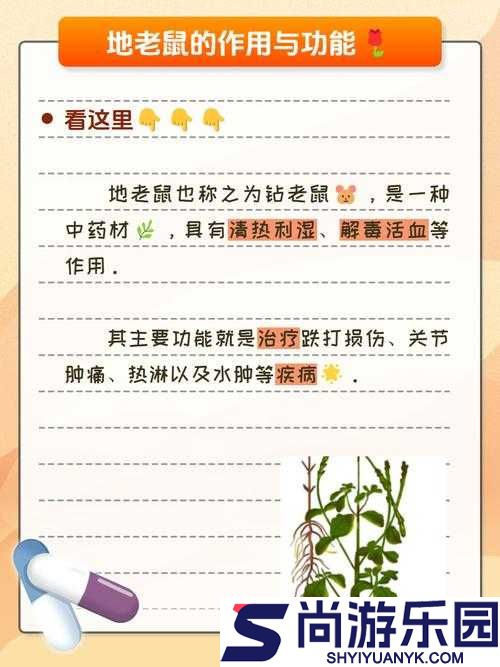 北境之地鼠患问题应对策略