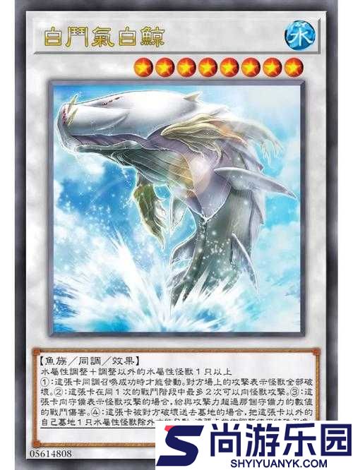 游戏王深度剖析