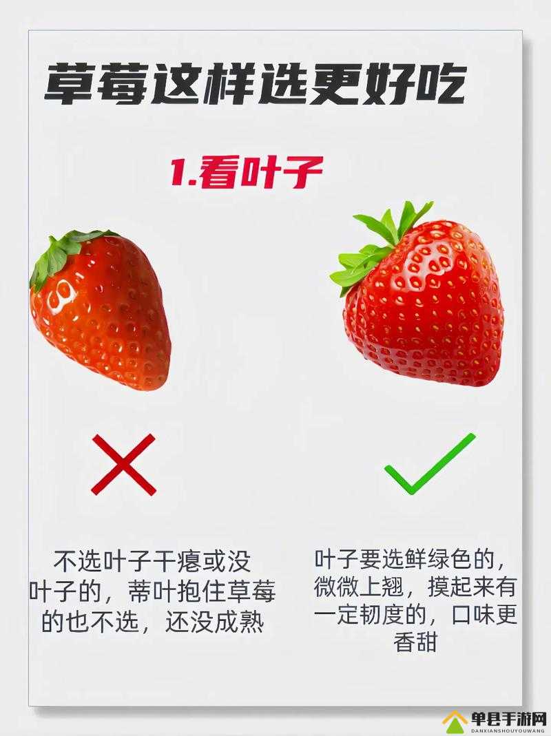 如何恢复草莓视频：实用技巧分享