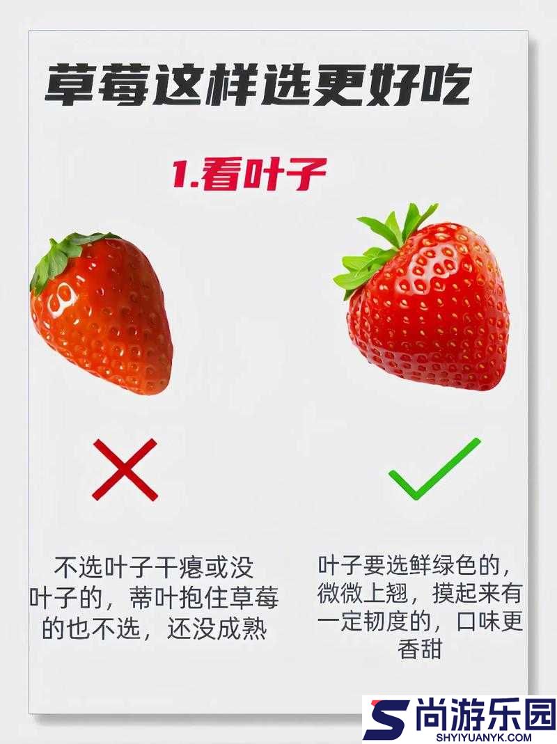 如何恢复草莓视频