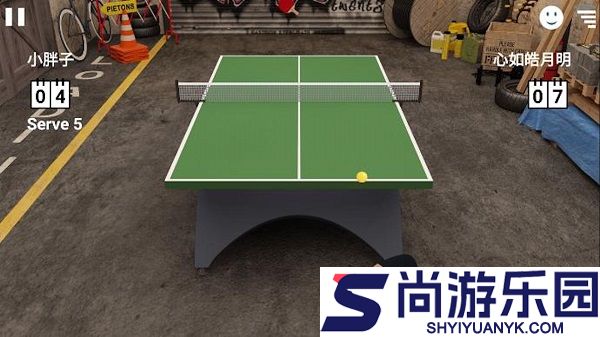 乒乓球模拟3D游戏下载