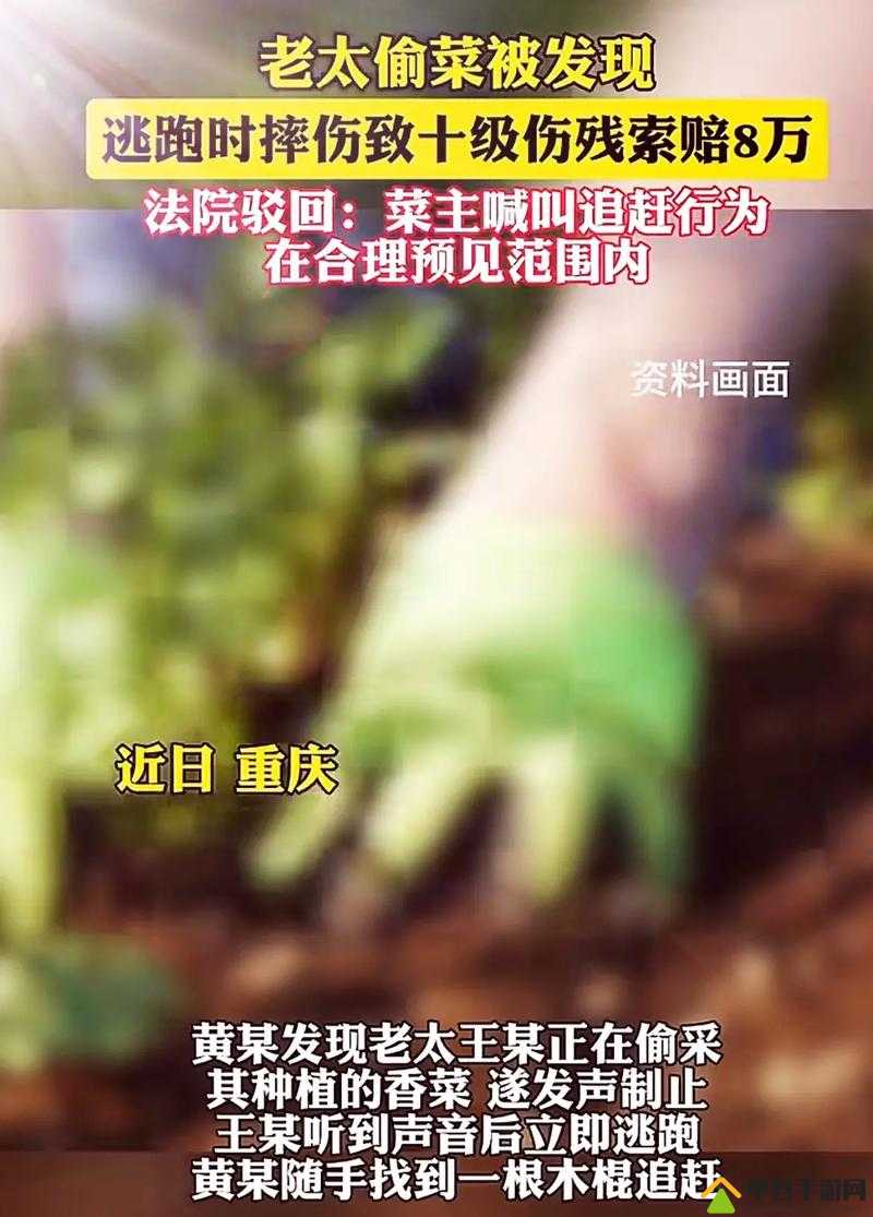 左右为难 1v3 引发网友质疑：事件背后的真相究竟如何