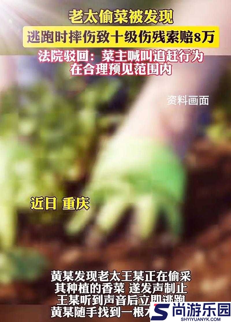 左右为难