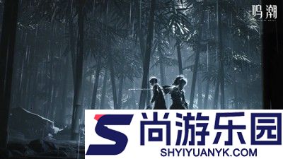 鸣潮兑换码官方大全