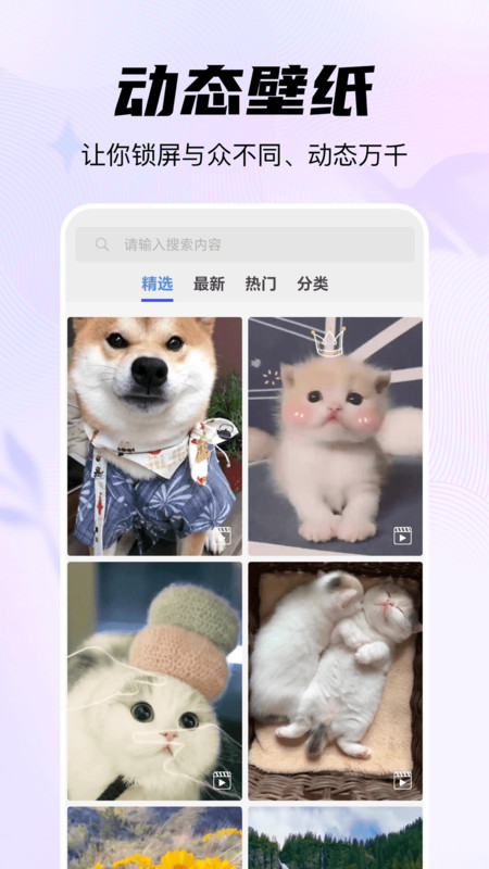 随心手机壁纸下载