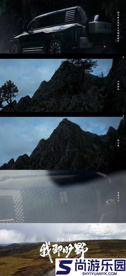 一个人看的