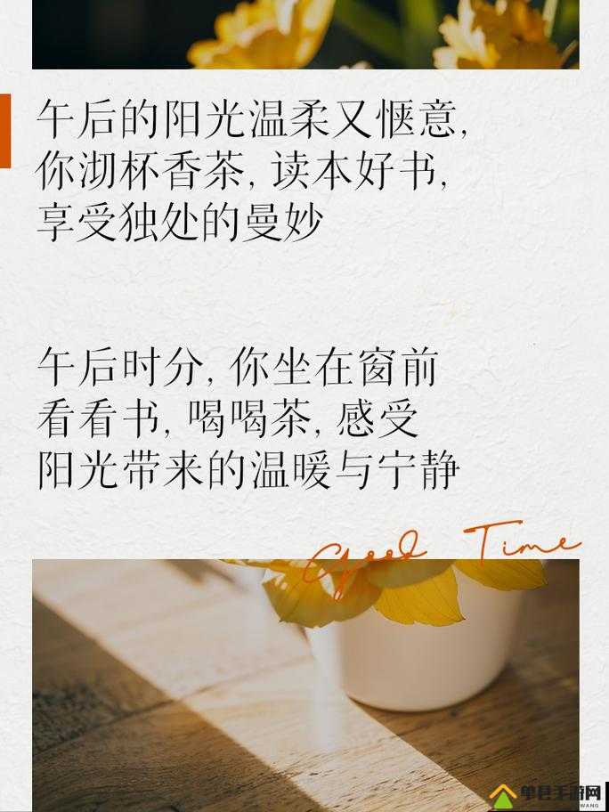 丈夫上班后的午后阳光：一个人的静谧时光与温暖思绪
