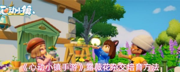 《心动小镇手游露薇花杂交怎么培育》心动小镇手游露薇花杂交培育方法