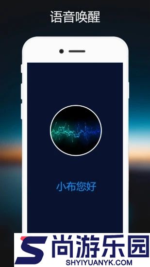 小布指令下载