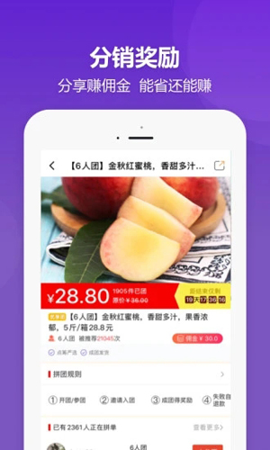 DC网app下载