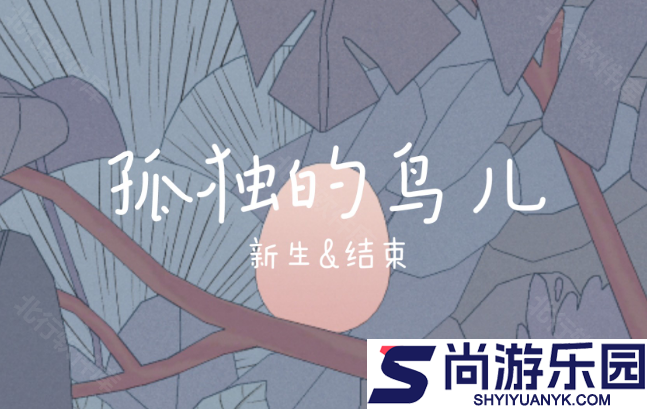 孤独的鸟儿官方正版免费下载
