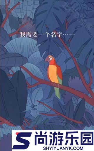 孤独的鸟儿官方正版免费下载