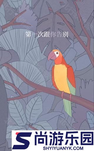 孤独的鸟儿官方正版免费下载