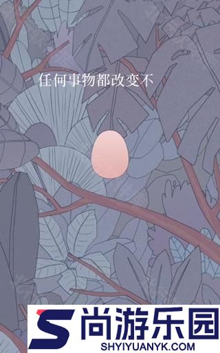 孤独的鸟儿官方正版免费下载