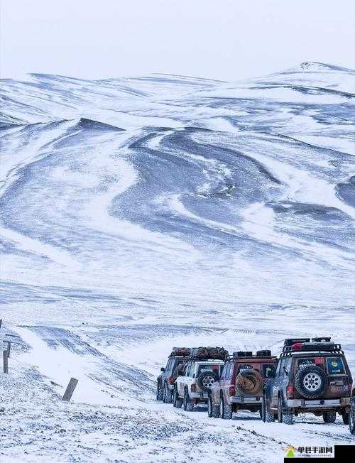 亚洲无人区码 SUV：探秘神秘荒野的极致冒险之旅