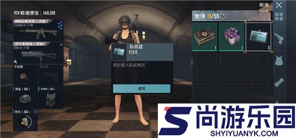 和平精英国际服pubg下载