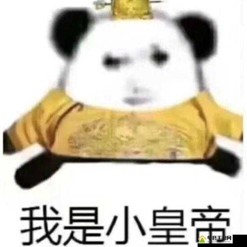小皇帝 1v 多：孤身奋战彰显王者风范与无畏勇气