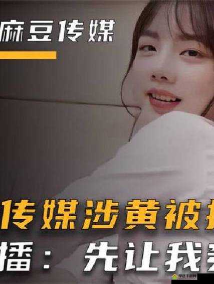 国产电影麻花豆传媒剧：挑战传统与创新的视觉盛宴