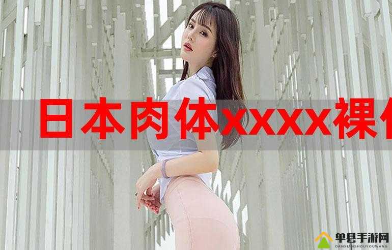 探索XXXX 日本的独特魅力与发展趋势
