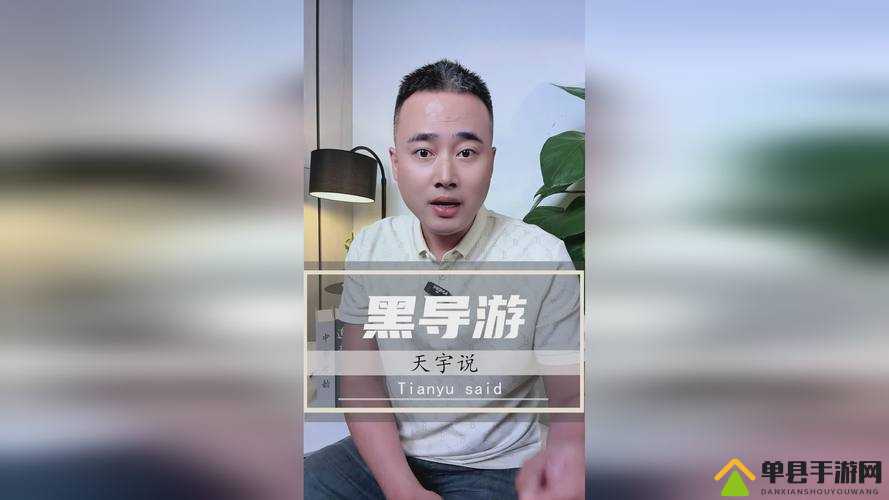 17C 一起草：跨越时空的经典之作