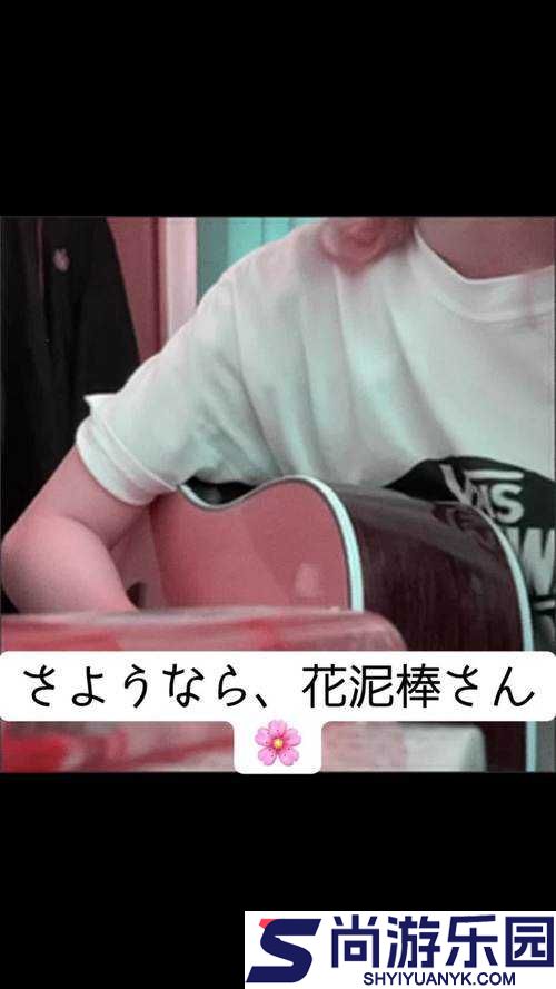 さようなら花泥棒さん歌词上线弹幕功能之精彩呈现