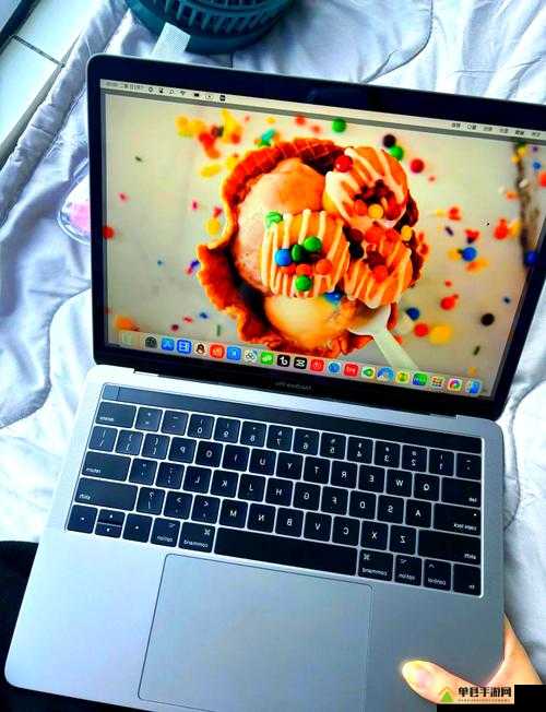 19 岁 macbookpro 欧美 ：展现青春与科技的魅力之旅
